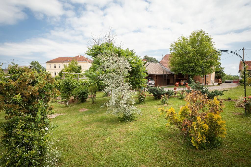 Apartment Tomasevic Слуни Экстерьер фото